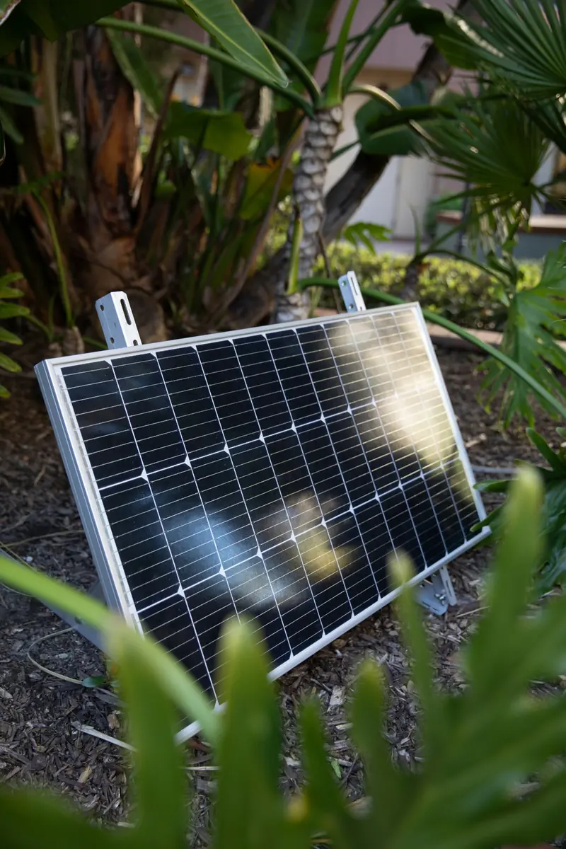 Portable solar panel in a garden beside plants